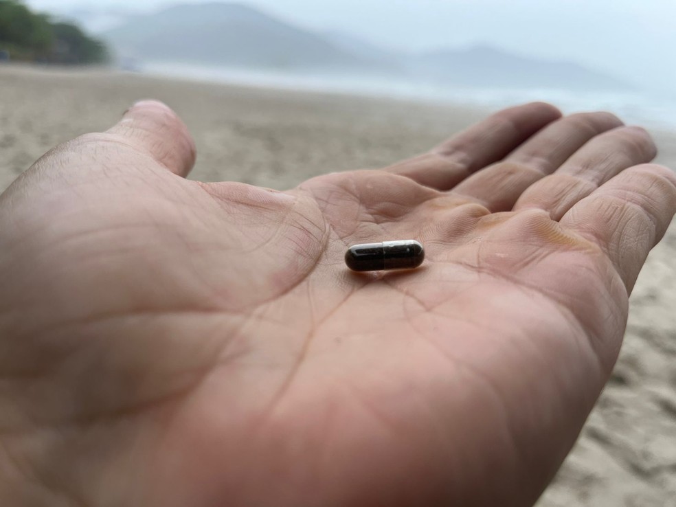 Capsule with native species launched in São Sebastião (SP) — Photo: João Mota/TV Vanguarda