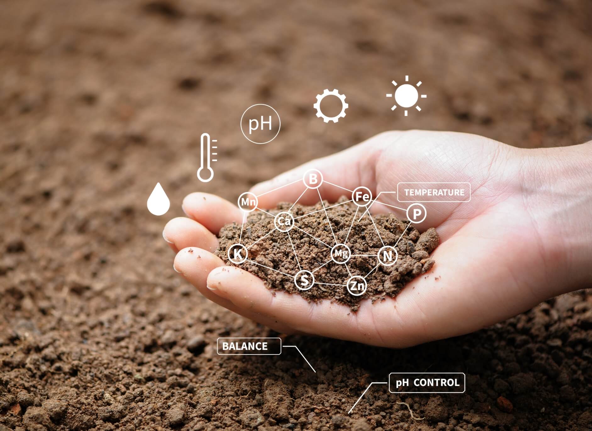 news-1-1 Tea Seed Saponin Help Revitalize Polluted Soils - News - HJHERB BIOTECH