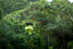 Áreas florestais degradadas na catástrofe começam a ser recuperadas com uso de biocápsulas lançadas por drones