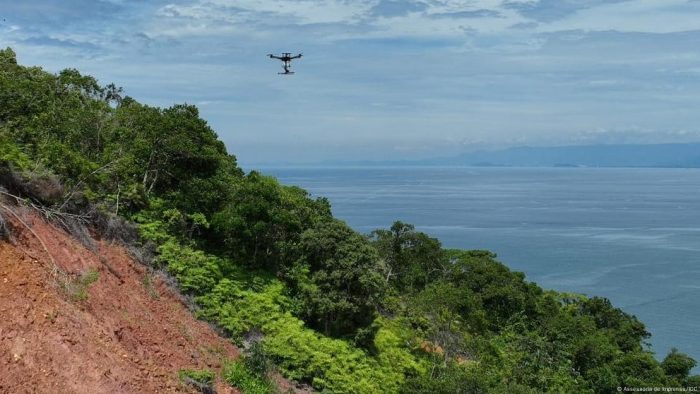 Drones estão sendo usados para despejar sementes de plantas nativas e ajudar a Mata Atlântica a se regenerar mais rápido em São Sebastião.Foto: Assessoria de Imprensa/ICC