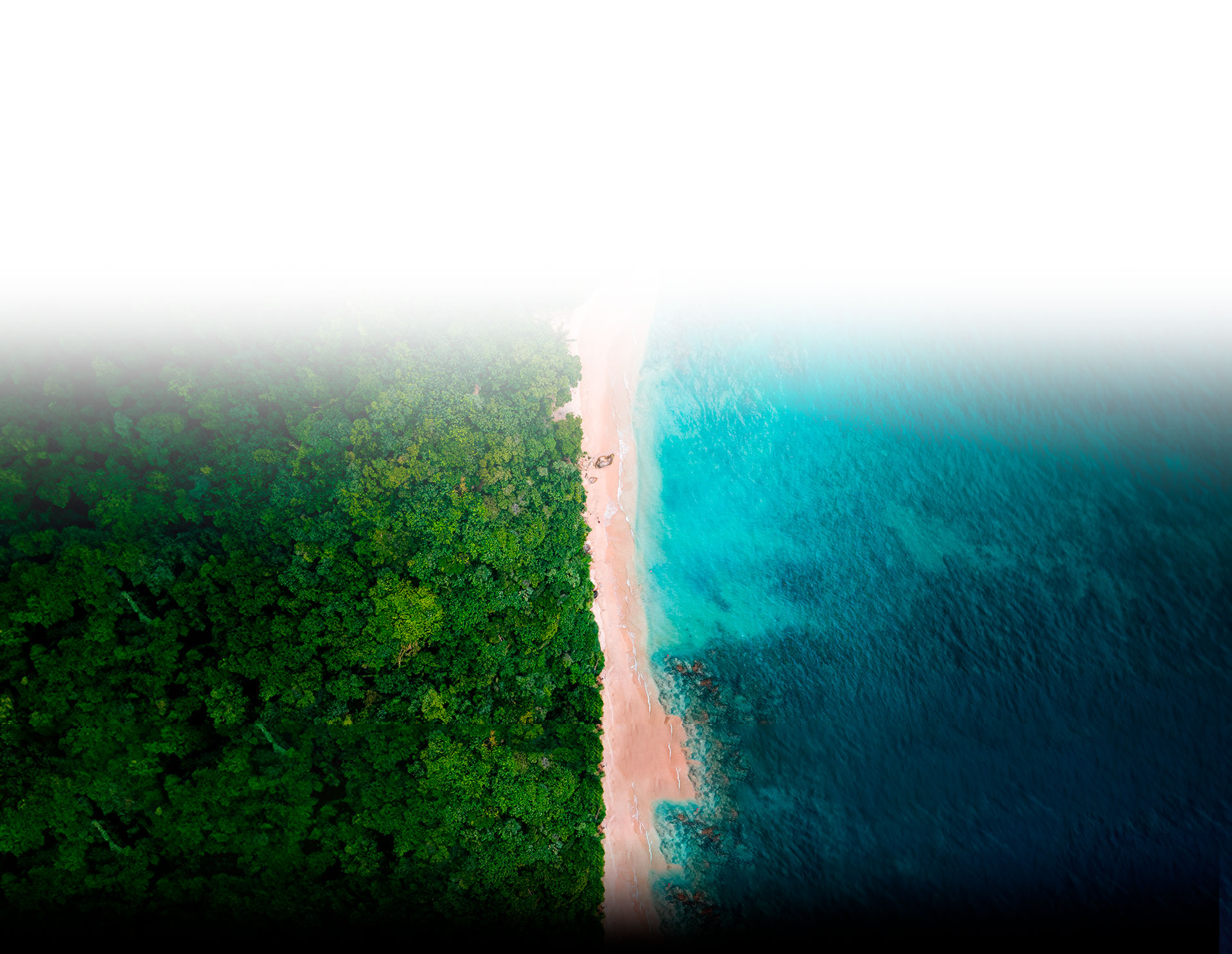 Environment