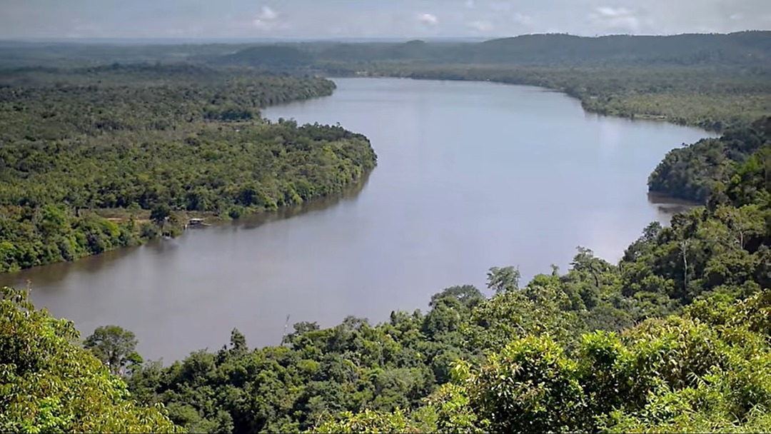 conservação de floresta na Amazônia e geração de créditos de carbono