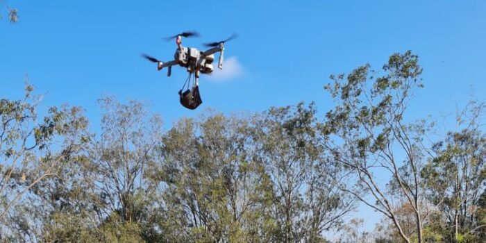 Tecnologia de reflorestamento utiliza drone para despejar biocápsulas de sementes na floresta