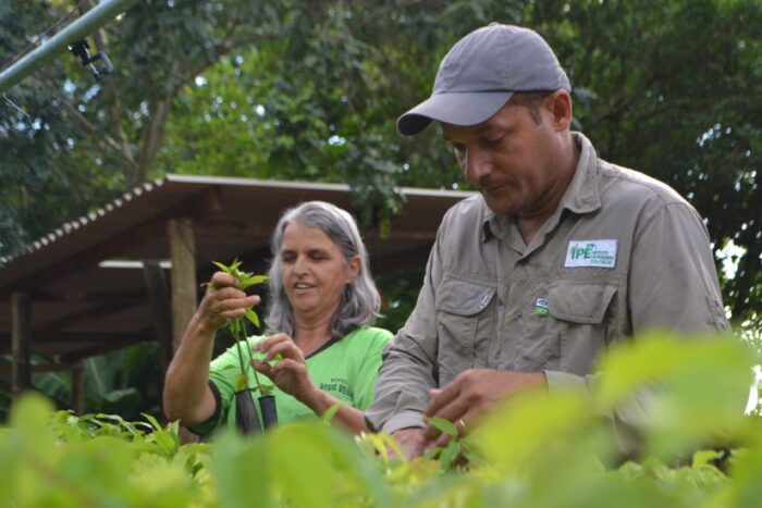 Projeto do IPÊ com Biofílica Ambipar recebe Prêmio Environmental Finance