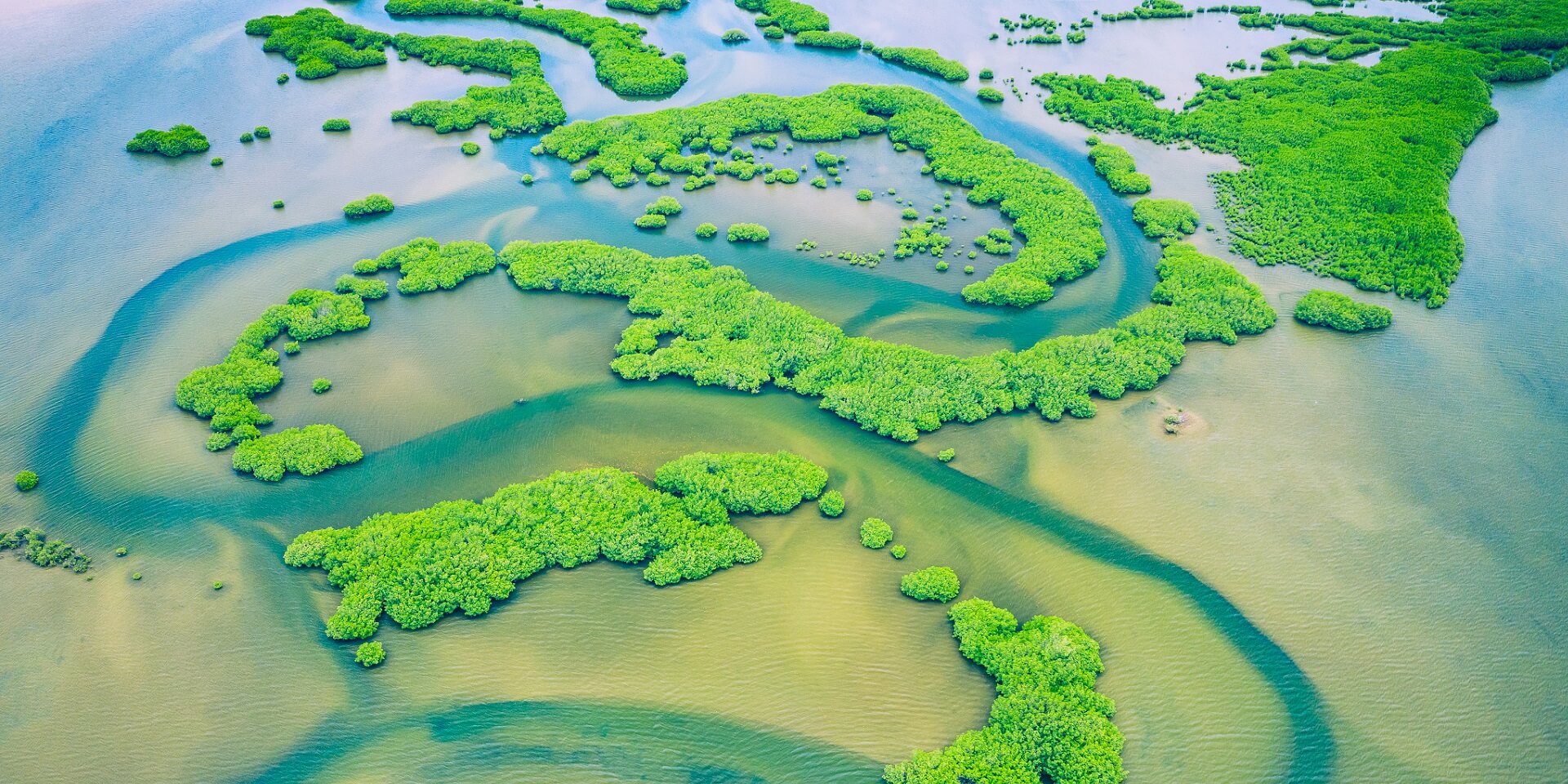 Footer Senegal Mangroves. Aerial view of mangrove forest in the Saloum Delta National Park, Joal Fadiout,