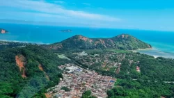 Inteligência artificial e drones aceleram reflorestamento na Serra do Mar