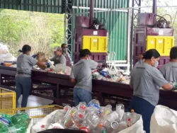 Parceria entre Consimares e Ambipar, projeto busca mais cooperativas para ampliar reciclagem
