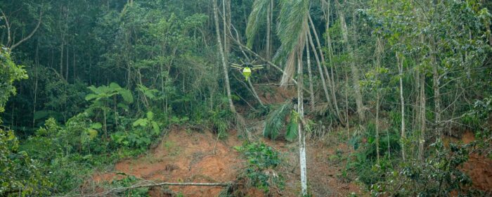 Drones com sementes de árvore vão recuperar áreas de deslizamento de terra em São Sebastião