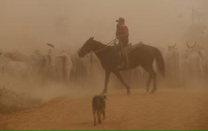 Queimada fumaça gado transgarimpeira amazonia foto cristiano mariz-agencia o globo