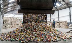 Sustentabilidade - Cooperativas de reciclagem do Recife contam com o interesse de empresas pelo tema