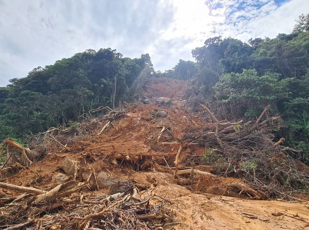 Drone replanting trees in areas affected by landslides in São Sebastião — Photo: Disclosure/ICC