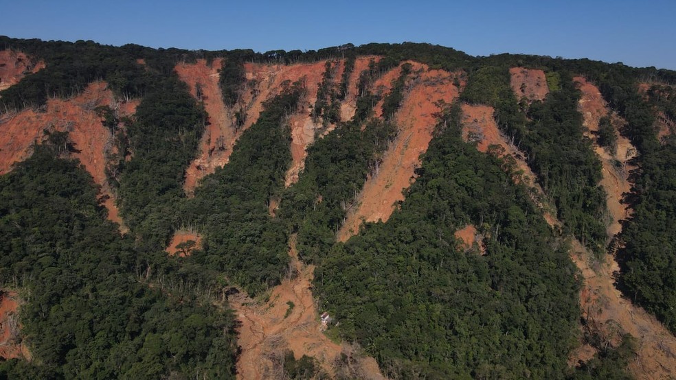 Drone replanting trees in areas affected by landslides in São Sebastião — Photo: Disclosure/Atlântica Environmental Consulting